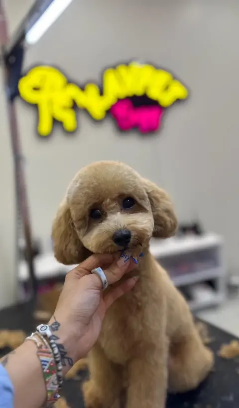 Kavpet Petshop & Pet Kuaför fotoğraf 2