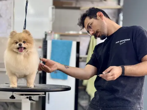 Erkin’in Pet Kuaför Salonu fotoğraf 4
