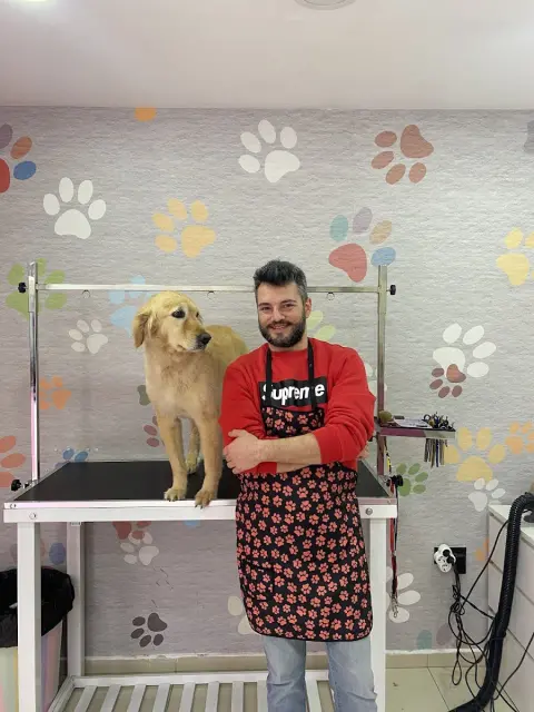 Patişörler Pet Kuaför fotoğraf 4