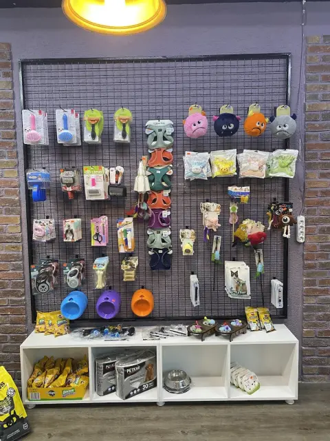 PET KUAFÖR ZEY fotoğraf 4