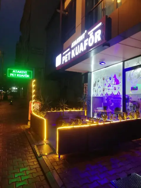 İstanbul Pet Kuaför ATAKENT PET KUAFÖR - İstanbul Anestezisiz Kedi Tıraşı - İstanbul Köpek Tıraşı fotoğraf 2