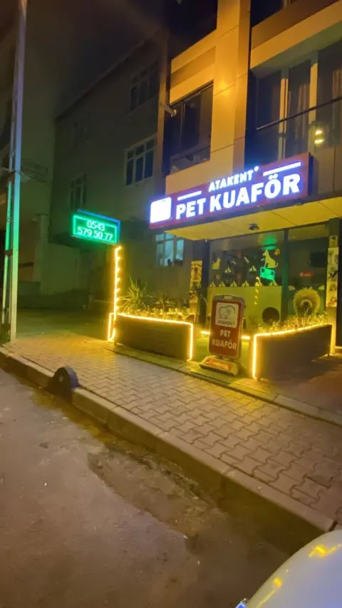 İstanbul Pet Kuaför ATAKENT PET KUAFÖR - İstanbul Anestezisiz Kedi Tıraşı - İstanbul Köpek Tıraşı fotoğraf 5