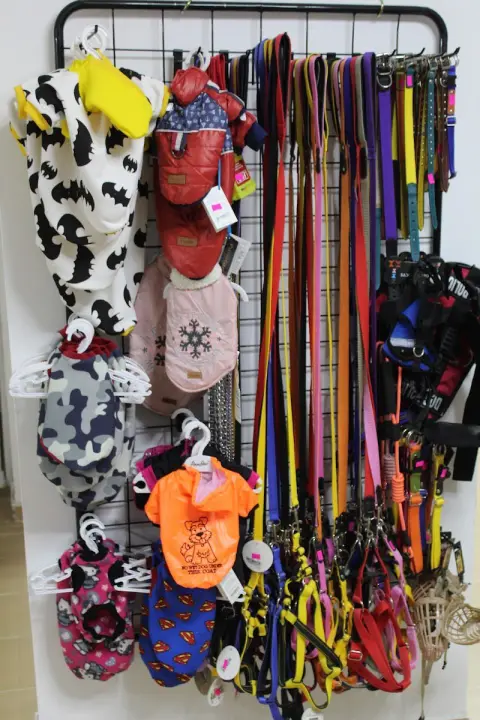 BEYOĞLU PETSHOP & PET KUAFÖR fotoğraf 4
