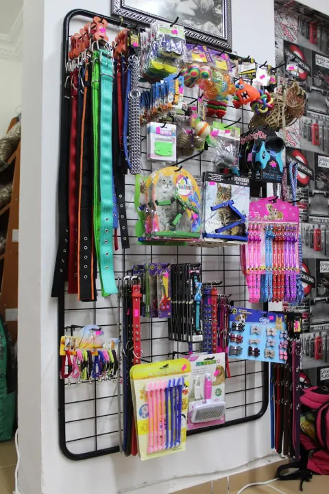 BEYOĞLU PETSHOP & PET KUAFÖR fotoğraf 5