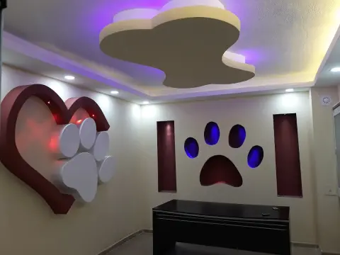 Sivas petshop Nunu pet shop & pet kuaför banyo ve traş fotoğraf 5
