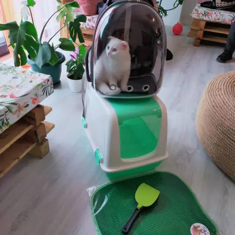 Köpük pet Kuaför fotoğraf 3