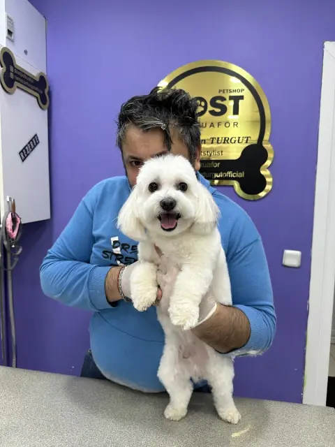 Dost Pet Kuaför /Ramazan Turgut fotoğraf 4