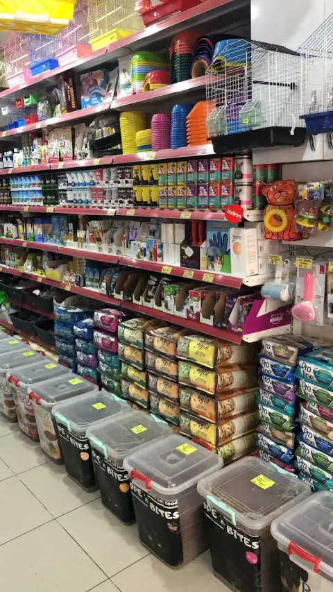 Çorum Miya Patili Köşk Petshop, Pet Kuaför, Pet Otel fotoğraf 2