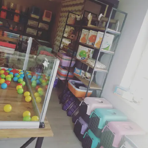 Çorum Miya Patili Köşk Petshop, Pet Kuaför, Pet Otel fotoğraf 5