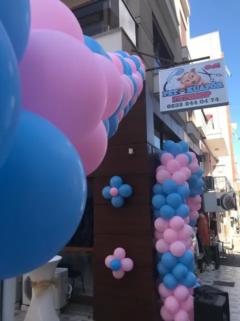 Odi Pet Kuaför Ve Petshop fotoğraf 3
