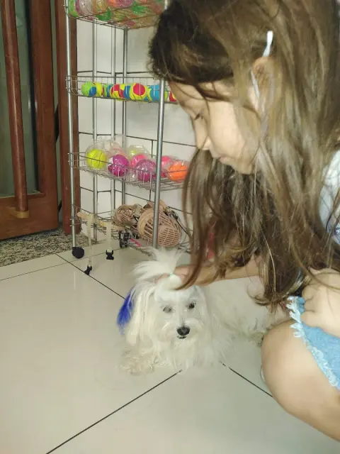 Odi Pet Kuaför Ve Petshop fotoğraf 5