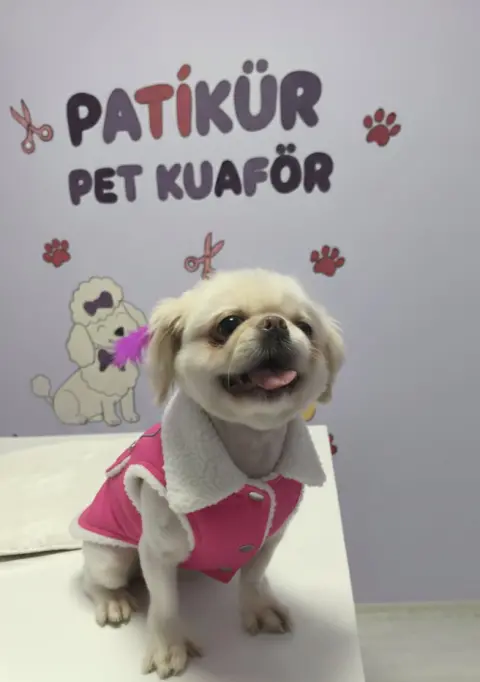 PATİKÜR PET KUAFÖR