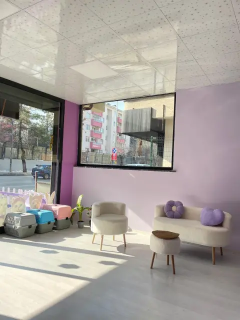 PATİKÜR PET KUAFÖR fotoğraf 2