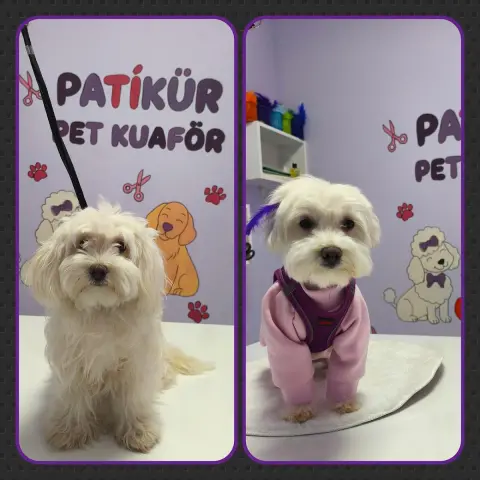 PATİKÜR PET KUAFÖR fotoğraf 5