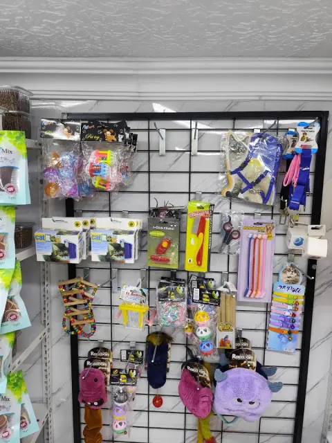 Pativer Petshop Köpek Eğitim Evcil Hayvan Pansiyonu Evcil Pet Kuaförü fotoğraf 2
