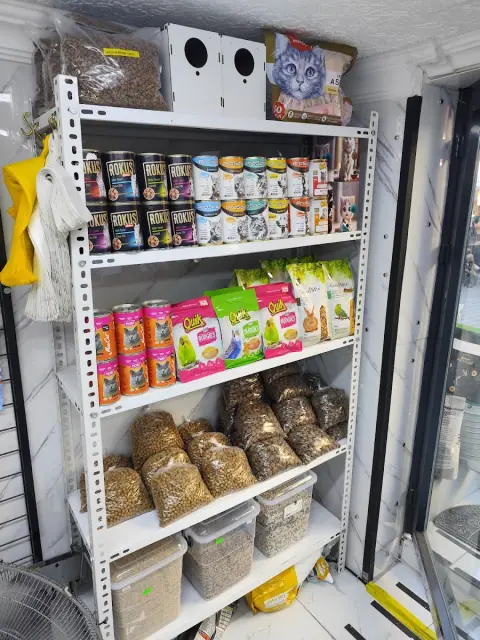 Pativer Petshop Köpek Eğitim Evcil Hayvan Pansiyonu Evcil Pet Kuaförü fotoğraf 4
