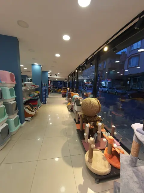 Pet ÇizmeliKedi Petstore & Pet Kuaför fotoğraf 4