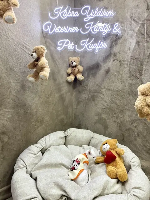 Malatya Pet Kuaför Veteriner Kübra Yıldırım fotoğraf 2