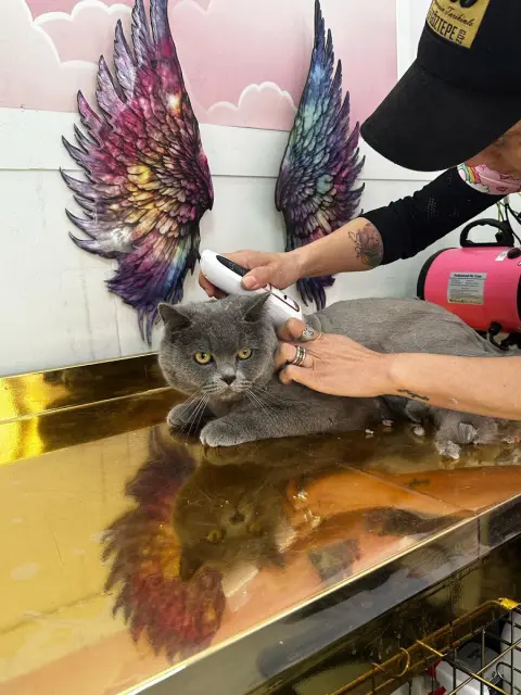 My Little Pet Shop & Kuafor fotoğraf 4