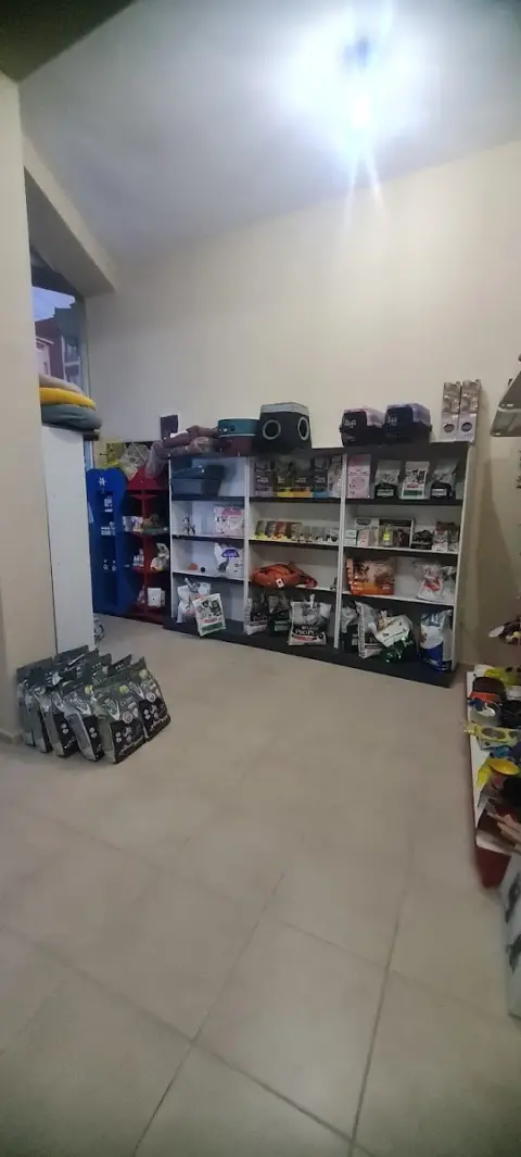 Arota Pet Kuaför fotoğraf 2