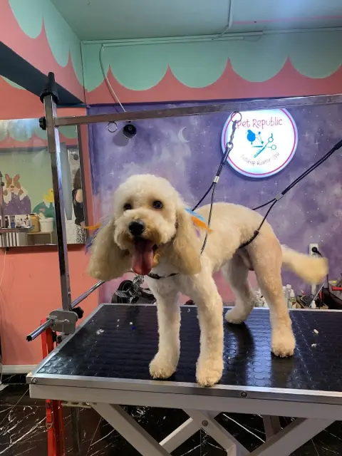 Pet Kuaför & Spa Pet Republic fotoğraf 2