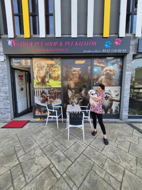 Nilüfer Petshop & Pet Kuaför ve Spa Bakım Merkezi fotoğraf 3