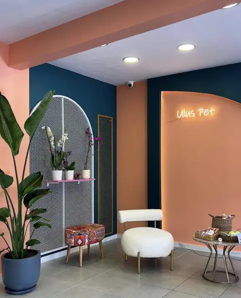 Ulus Pet Kuaför fotoğraf 3