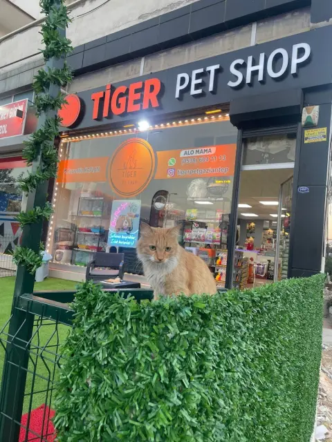 Tiger Pet Shop & Pet Kuaför & Spa fotoğraf 4