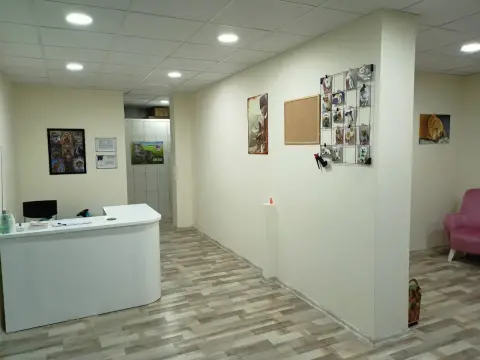 Patiş Pet Kuaför fotoğraf 2