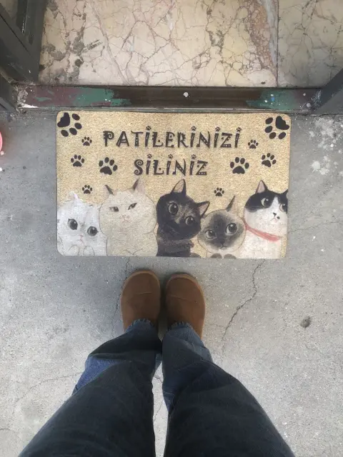 Batıkent Family Pet Kuaför fotoğraf 5
