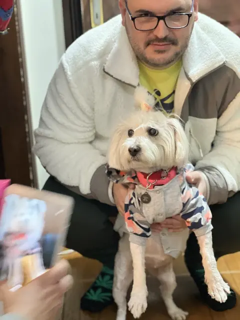 Patikür Pet Kuaför fotoğraf 5