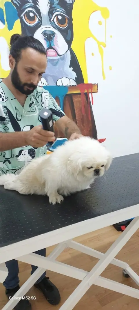 İRMA VETERİNER KLİNİĞİ & PET KUAFÖR fotoğraf 2