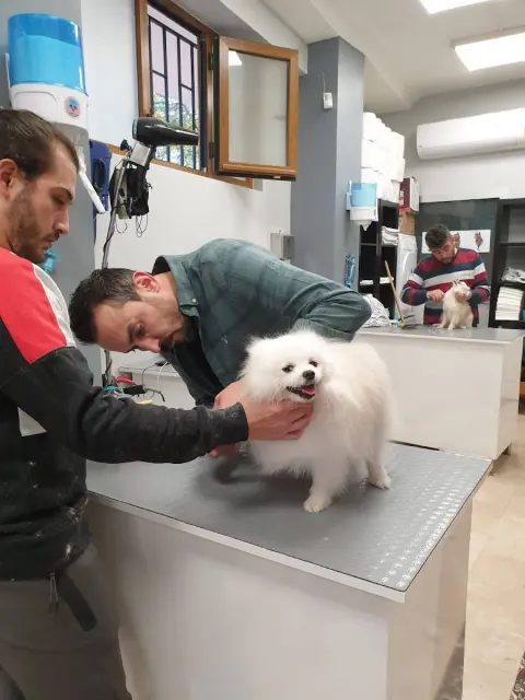 Petkuaför Mustafa Gün fotoğraf 2