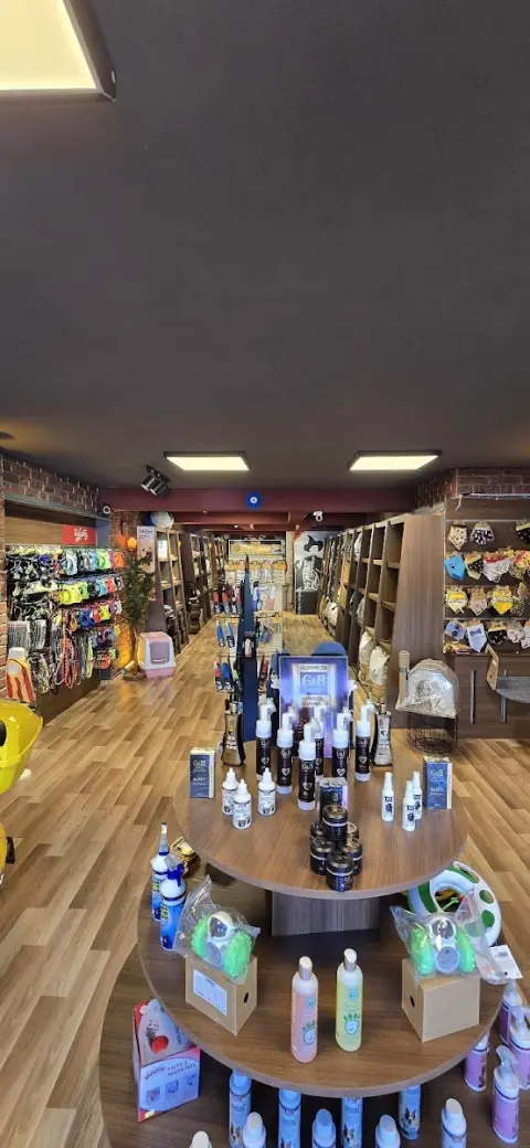 Hogwarts Pet Kuaför & Pet Shop fotoğraf 4