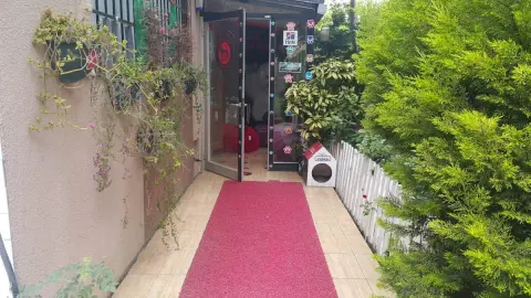 Memo's Pet Kuaför