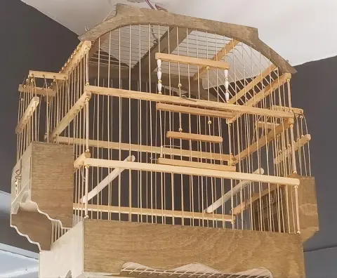 ÇINARCIK KÜÇÜK CANLAR PETSHOP & PET KUAFÖR fotoğraf 5