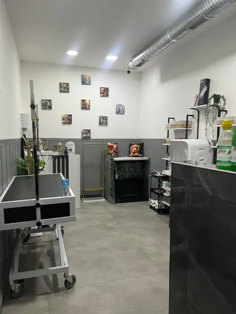 Sancaktepe pet kuaför fotoğraf 4