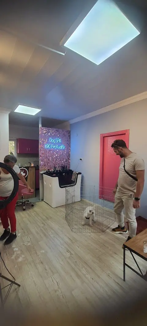 Kiki Pet Kuaför Özlem Yardaş fotoğraf 4