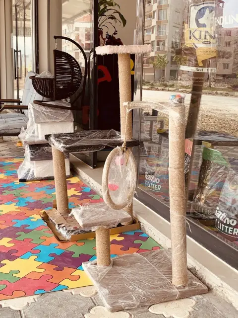 AREN PETSHOP PET KUAFÖR fotoğraf 5