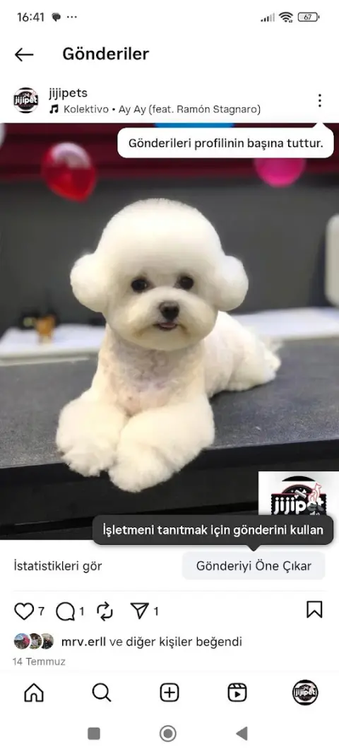 JİJİ PET KUAFÖR&SPA&STORE fotoğraf 5