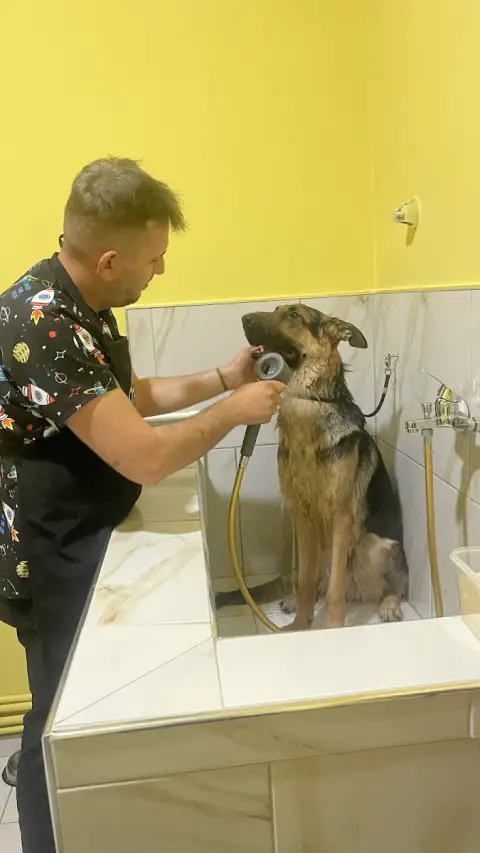 NEWPATİ PET KUAFÖR fotoğraf 2