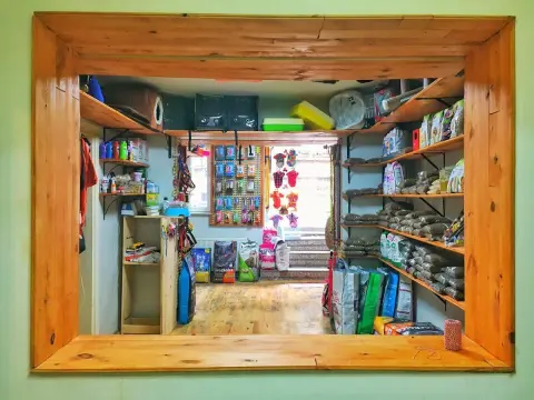 bubi petshop ve Kuaför fotoğraf 2