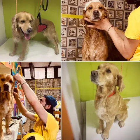 bubi petshop ve Kuaför fotoğraf 5