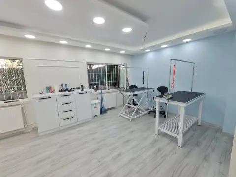 Patisya Pet Kuaför & Pet Otel fotoğraf 4