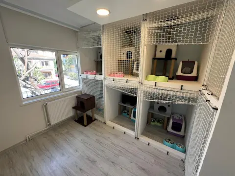 Patisya Pet Kuaför & Pet Otel fotoğraf 5