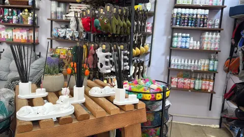 Pet Kuaförü fotoğraf 2