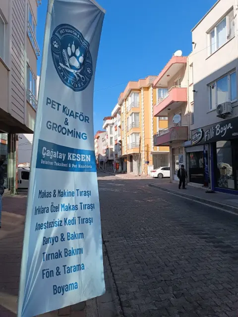 Pativerse Pet Kuaför&Grooming fotoğraf 3