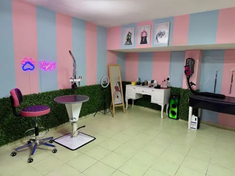 Tüyloji Pet Kuaför fotoğraf 4
