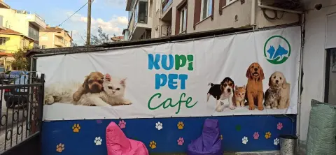 Kupi pet kuaför & pet cafe fotoğraf 2