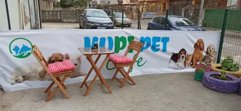 Kupi pet kuaför & pet cafe fotoğraf 4